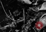 Image of USS Newcomb Pacific Ocean, 1945, second 61 stock footage video 65675050880