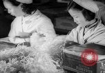 Standbild Bakerite Unternehmen Shanghai China, 1938, aus Sekunde 56 historischem Filmmaterial Videoclip 65675050892