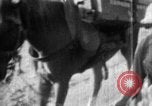 Standbild japanische Soldaten Birma, 1943, aus Sekunde 18 historischem Filmmaterial Videoclip 65675050900