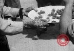 Image of Japanese soldiers Burma, 1943, second 37 stock footage video 65675050901