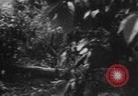 Image of Japanese soldiers Burma, 1943, second 24 stock footage video 65675050907