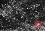 Image of Japanese soldiers Burma, 1943, second 26 stock footage video 65675050907