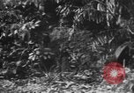 Image of Japanese soldiers Burma, 1943, second 27 stock footage video 65675050907
