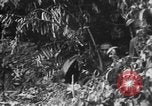 Image of Japanese soldiers Burma, 1943, second 28 stock footage video 65675050907