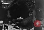 Standbild 475th Infanterie Tali Birma, 1944, aus Sekunde 56 historischem Filmmaterial Videoclip 65675050910