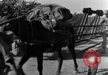 Standbild 475th Infanterie Birma, 1944, aus Sekunde 29 historischem Filmmaterial Videoclip 65675050912