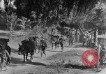 Standbild 475th Infanterie Birma, 1944, aus Sekunde 8 historischem Filmmaterial Videoclip 65675050913