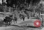 Standbild 475th Infanterie Birma, 1944, aus Sekunde 9 historischem Filmmaterial Videoclip 65675050913