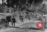 Standbild 475th Infanterie Birma, 1944, aus Sekunde 10 historischem Filmmaterial Videoclip 65675050913