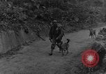 Immagine di I cani della guerra Man-Tha Birmania, 1944, secondo 4 filmato di repertorio 65675050914