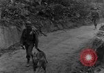 Immagine di I cani della guerra Man-Tha Birmania, 1944, secondo 6 filmato di repertorio 65675050914