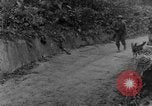 Immagine di I cani della guerra Man-Tha Birmania, 1944, secondo 8 filmato di repertorio 65675050914