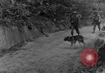 Immagine di I cani della guerra Man-Tha Birmania, 1944, secondo 9 filmato di repertorio 65675050914