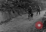 Immagine di I cani della guerra Man-Tha Birmania, 1944, secondo 10 filmato di repertorio 65675050914