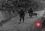 Immagine di I cani della guerra Man-Tha Birmania, 1944, secondo 12 filmato di repertorio 65675050914