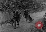 Immagine di I cani della guerra Man-Tha Birmania, 1944, secondo 13 filmato di repertorio 65675050914
