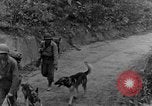 Immagine di I cani della guerra Man-Tha Birmania, 1944, secondo 15 filmato di repertorio 65675050914