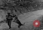 Immagine di I cani della guerra Man-Tha Birmania, 1944, secondo 16 filmato di repertorio 65675050914