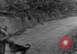 Immagine di I cani della guerra Man-Tha Birmania, 1944, secondo 17 filmato di repertorio 65675050914