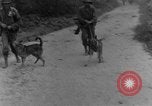 Immagine di I cani della guerra Man-Tha Birmania, 1944, secondo 19 filmato di repertorio 65675050914