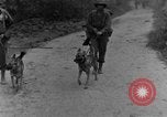Immagine di I cani della guerra Man-Tha Birmania, 1944, secondo 20 filmato di repertorio 65675050914