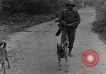 Immagine di I cani della guerra Man-Tha Birmania, 1944, secondo 21 filmato di repertorio 65675050914