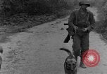 Immagine di I cani della guerra Man-Tha Birmania, 1944, secondo 22 filmato di repertorio 65675050914
