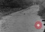 Immagine di I cani della guerra Man-Tha Birmania, 1944, secondo 24 filmato di repertorio 65675050914