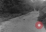 Immagine di I cani della guerra Man-Tha Birmania, 1944, secondo 31 filmato di repertorio 65675050914
