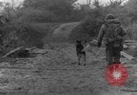 Immagine di I cani della guerra Man-Tha Birmania, 1944, secondo 42 filmato di repertorio 65675050914