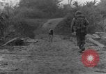 Immagine di I cani della guerra Man-Tha Birmania, 1944, secondo 43 filmato di repertorio 65675050914