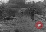 Immagine di I cani della guerra Man-Tha Birmania, 1944, secondo 44 filmato di repertorio 65675050914