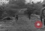 Immagine di I cani della guerra Man-Tha Birmania, 1944, secondo 45 filmato di repertorio 65675050914