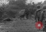 Immagine di I cani della guerra Man-Tha Birmania, 1944, secondo 46 filmato di repertorio 65675050914