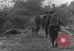 Immagine di I cani della guerra Man-Tha Birmania, 1944, secondo 48 filmato di repertorio 65675050914