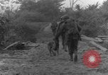 Immagine di I cani della guerra Man-Tha Birmania, 1944, secondo 49 filmato di repertorio 65675050914
