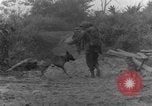 Immagine di I cani della guerra Man-Tha Birmania, 1944, secondo 50 filmato di repertorio 65675050914