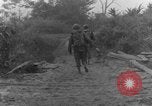 Immagine di I cani della guerra Man-Tha Birmania, 1944, secondo 51 filmato di repertorio 65675050914