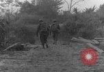 Immagine di I cani della guerra Man-Tha Birmania, 1944, secondo 52 filmato di repertorio 65675050914