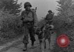 Immagine di I cani della guerra Man-Tha Birmania, 1944, secondo 53 filmato di repertorio 65675050914