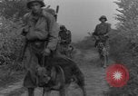 Immagine di I cani della guerra Man-Tha Birmania, 1944, secondo 54 filmato di repertorio 65675050914