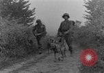 Immagine di I cani della guerra Man-Tha Birmania, 1944, secondo 56 filmato di repertorio 65675050914