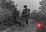 Immagine di I cani della guerra Man-Tha Birmania, 1944, secondo 57 filmato di repertorio 65675050914