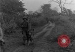 Immagine di I cani della guerra Man-Tha Birmania, 1944, secondo 60 filmato di repertorio 65675050914