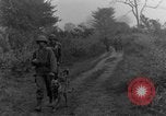 Immagine di I cani della guerra Man-Tha Birmania, 1944, secondo 61 filmato di repertorio 65675050914