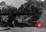 Image chiens de guerre Man-Tha Birmanie, 1944, de la seconde 3 séquences d'archives historiques vidéo 65675050915