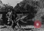 Image chiens de guerre Man-Tha Birmanie, 1944, de la seconde 6 séquences d'archives historiques vidéo 65675050915