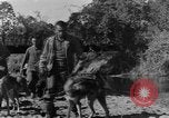 Image chiens de guerre Man-Tha Birmanie, 1944, de la seconde 10 séquences d'archives historiques vidéo 65675050915