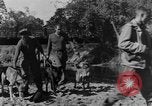 Image chiens de guerre Man-Tha Birmanie, 1944, de la seconde 12 séquences d'archives historiques vidéo 65675050915
