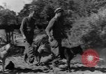 Image chiens de guerre Man-Tha Birmanie, 1944, de la seconde 15 séquences d'archives historiques vidéo 65675050915